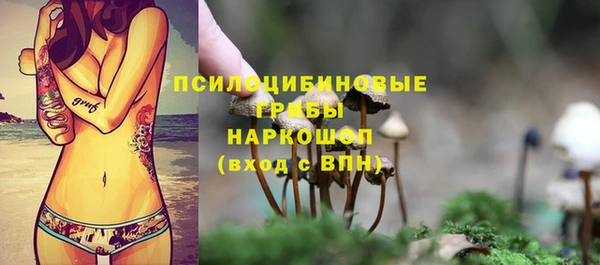 молекула духа Арсеньев