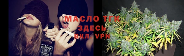молекула духа Арсеньев