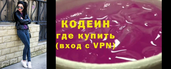 шишки Аркадак