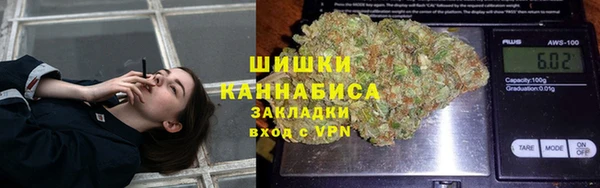 молекула духа Арсеньев