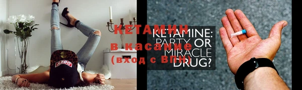 шишки Аркадак