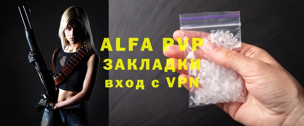 молекула духа Арсеньев