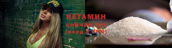 шишки Аркадак