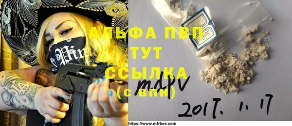 шишки Аркадак