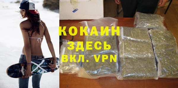 шишки Аркадак