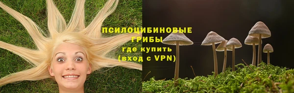 молекула духа Арсеньев