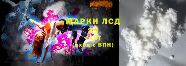 шишки Аркадак