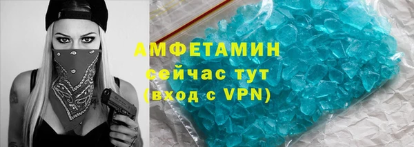 шишки Аркадак