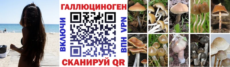 как найти закладки  Тайшет  Галлюциногенные грибы мухоморы 